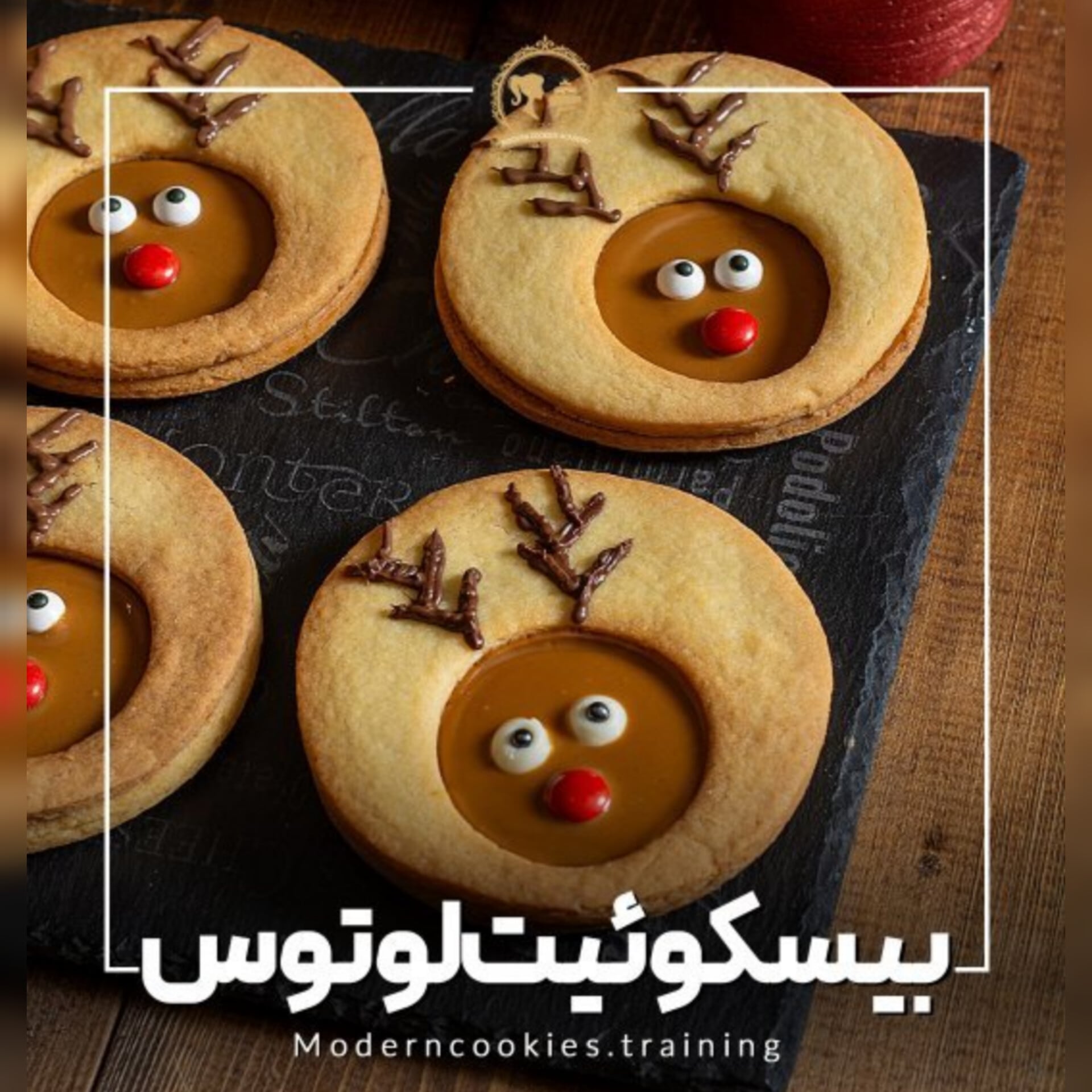 طرز تهیه بیسکویت لوتوس